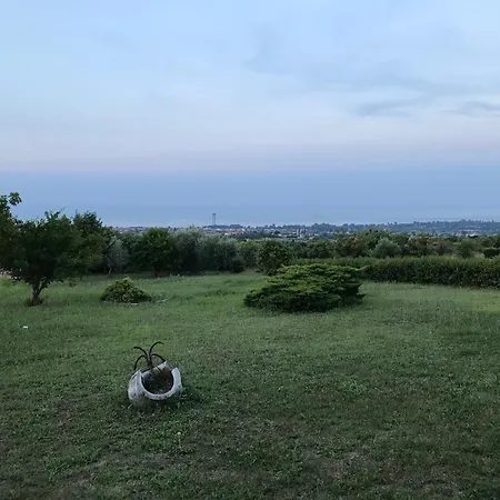 Amfitriti