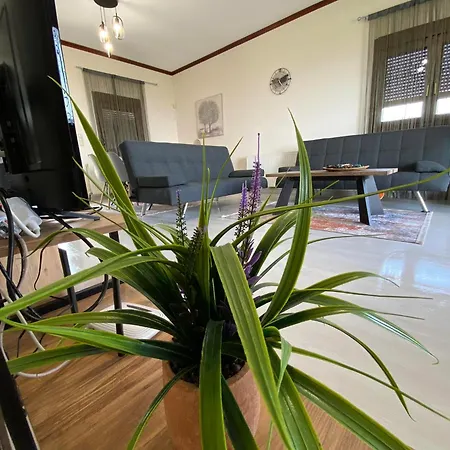 Amfitriti * 렙토카리아